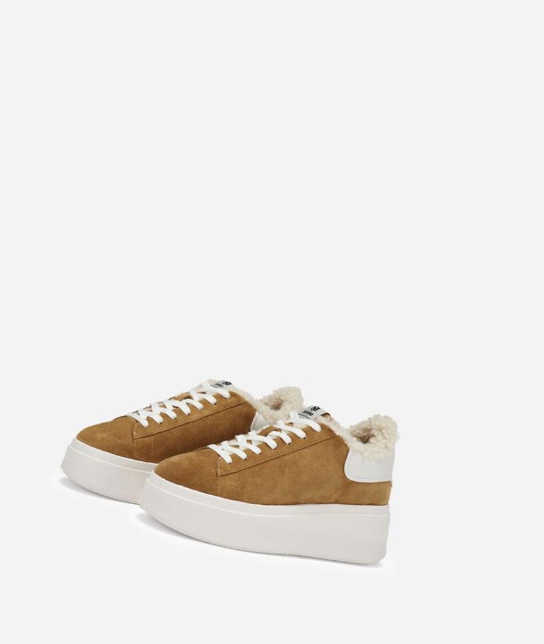 Low-Top Sneakers ASH Moby Be Kind Fur Marron Blanche Femme | CQU-1498672