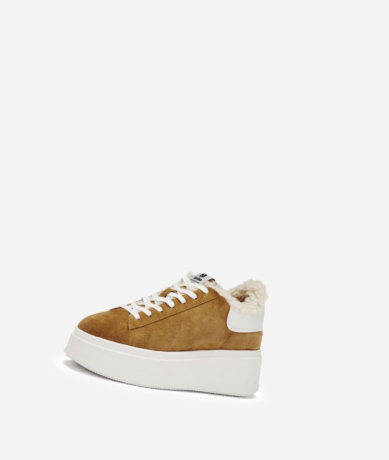 Low-Top Sneakers ASH Moby Be Kind Fur Marron Blanche Femme | CQU-1498672