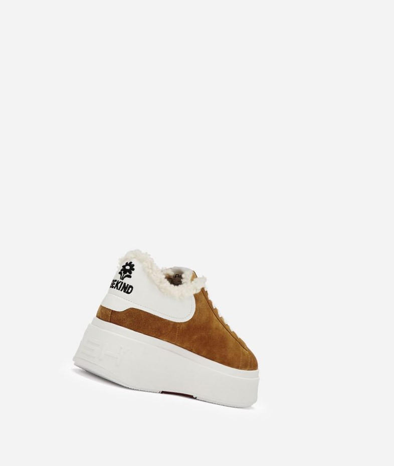 Low-Top Sneakers ASH Moby Be Kind Fur Marron Blanche Femme | CQU-1498672