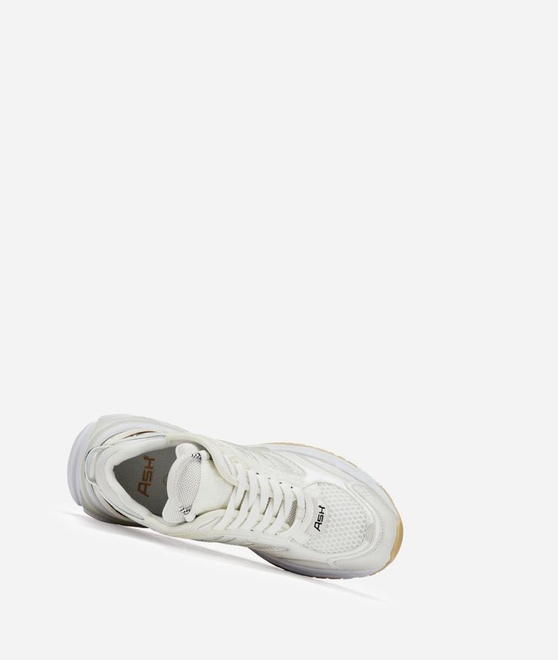 Low-Top Sneakers ASH Race Blanche Femme | DJK-5204640