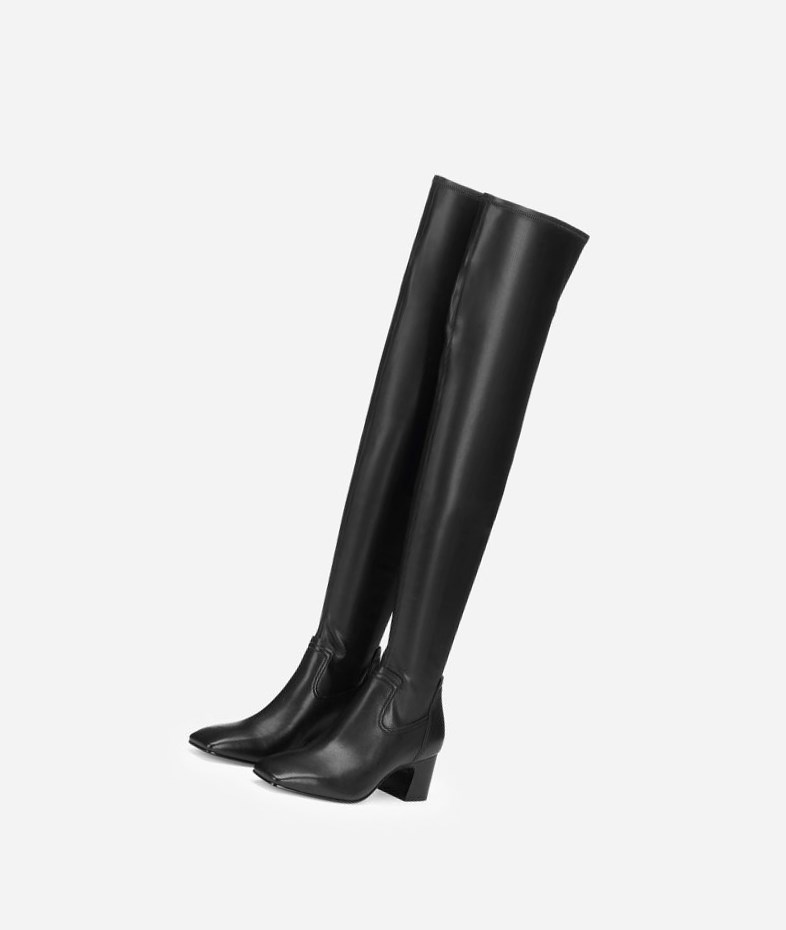 Long Boots ASH Clara Noir Femme | PSV-3019044