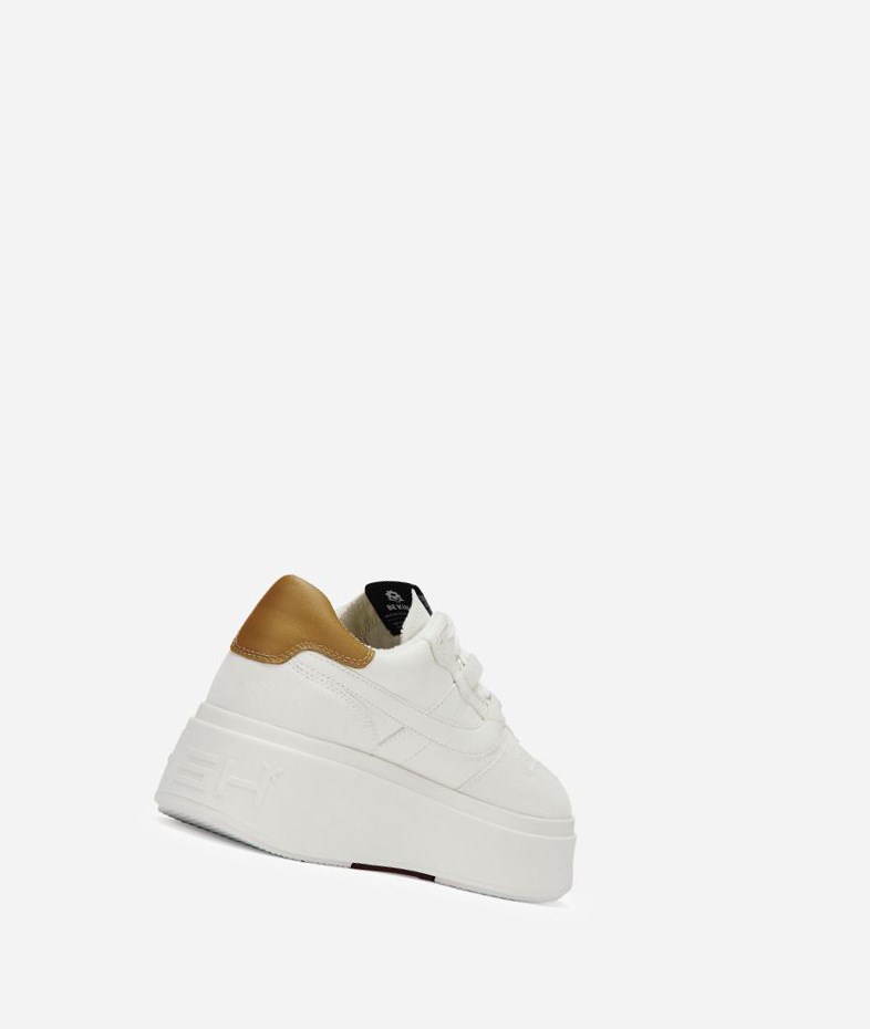 Low-Top Sneakers ASH Match Blanche Marron Femme | LJX-3791835