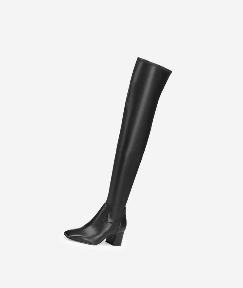 Long Boots ASH Clara Noir Femme | PSV-3019044