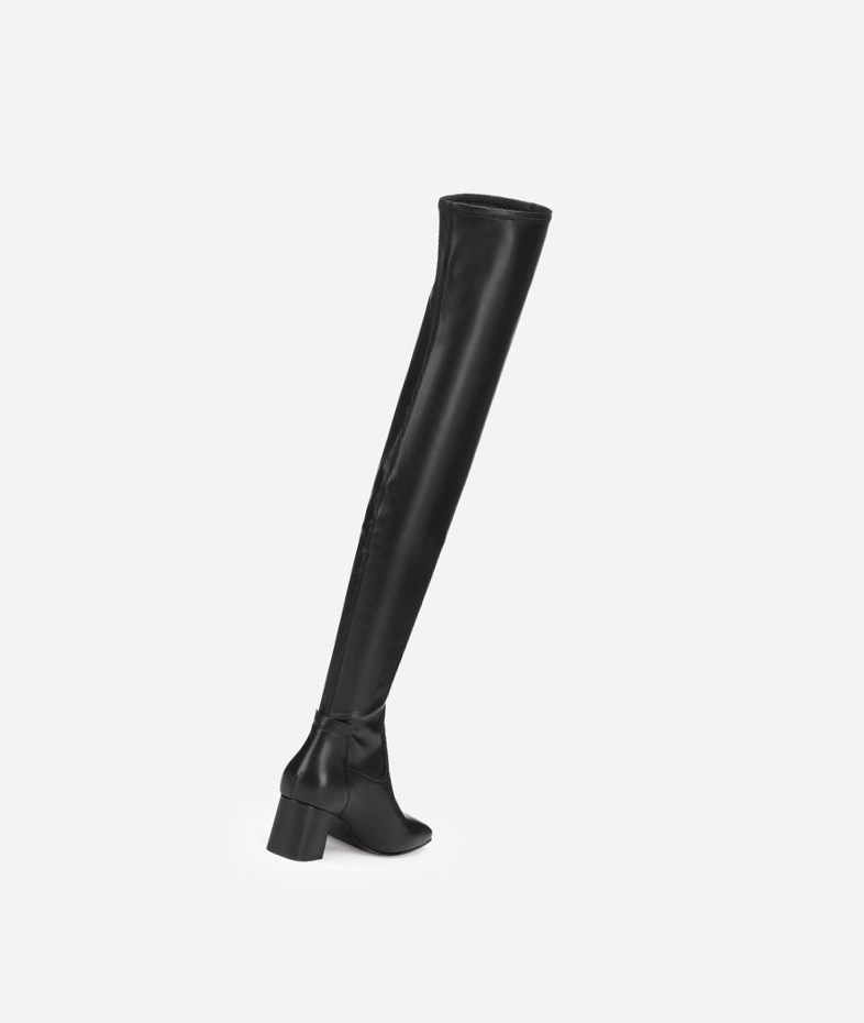 Long Boots ASH Clara Noir Femme | PSV-3019044