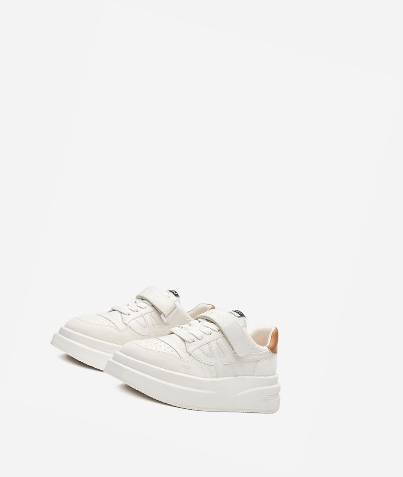 Low-Top Sneakers ASH Indy Blanche Marron Femme | FZS-8495203