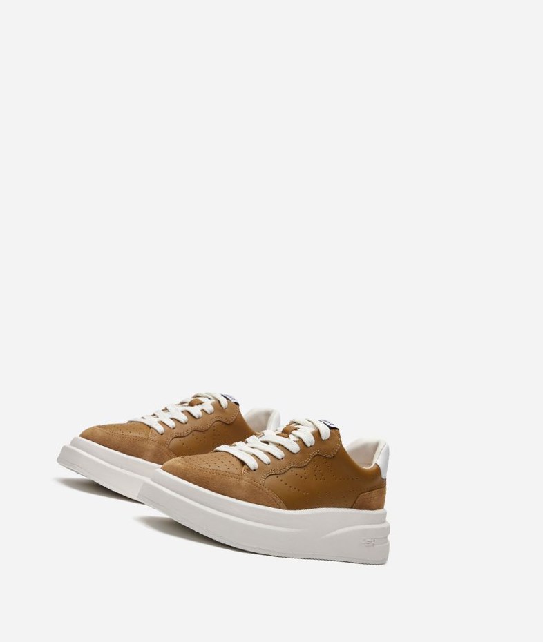 Low-Top Sneakers ASH Impuls Marron Blanche Femme | BZA-2358019