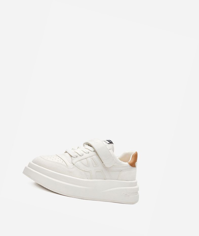 Low-Top Sneakers ASH Indy Blanche Marron Femme | FZS-8495203