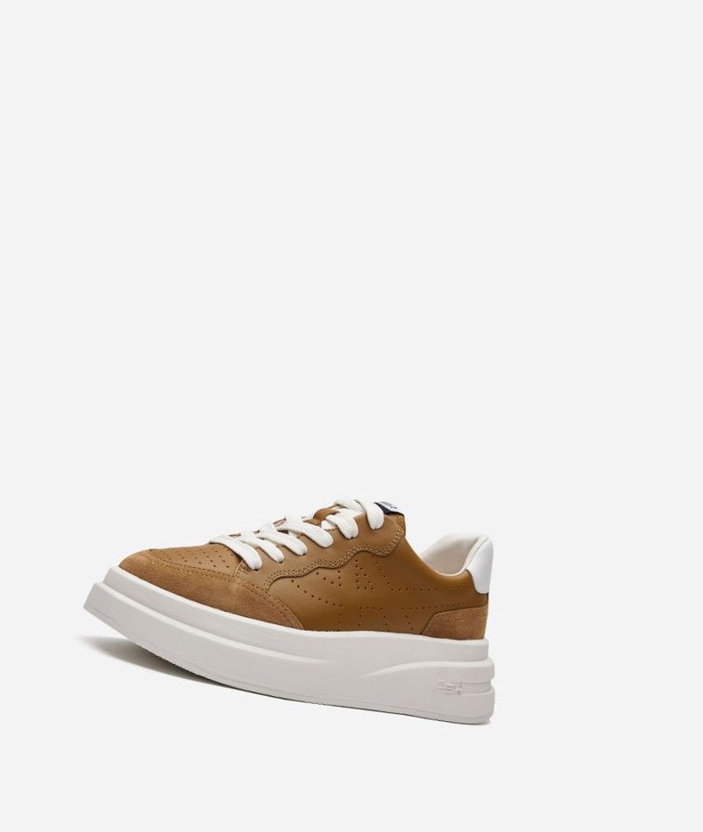 Low-Top Sneakers ASH Impuls Marron Blanche Femme | BZA-2358019