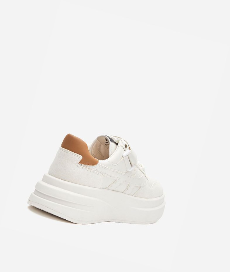 Low-Top Sneakers ASH Indy Blanche Marron Femme | FZS-8495203