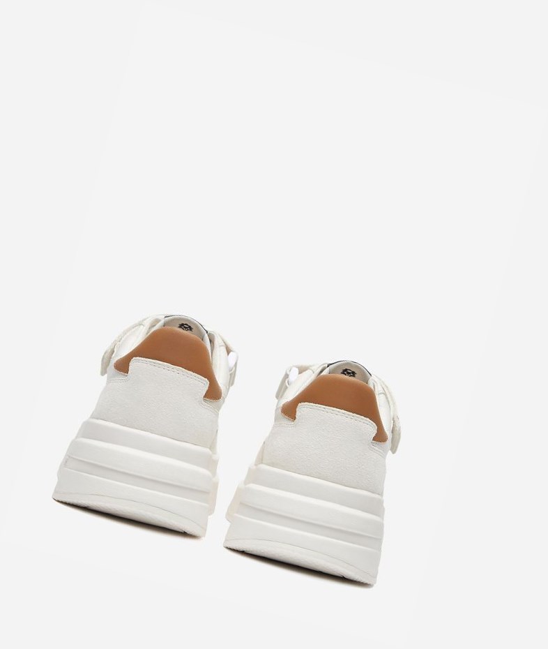 Low-Top Sneakers ASH Indy Blanche Marron Femme | FZS-8495203