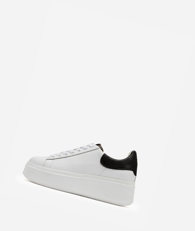 Low-Top Sneakers ASH Moby Blanche Noir Femme | EIY-1776299