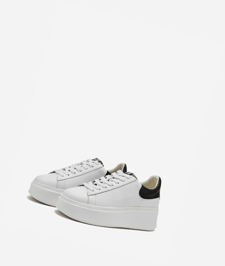 Low-Top Sneakers ASH Moby Blanche Noir Femme | EIY-1776299