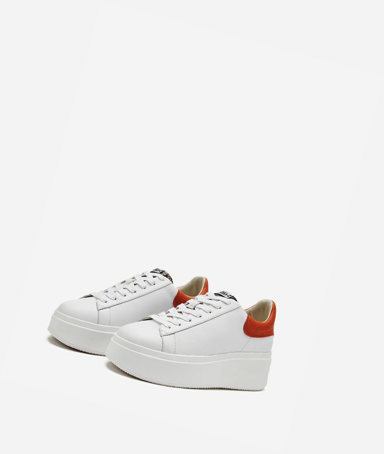 Low-Top Sneakers ASH Moby Blanche Femme | JTM-1479794