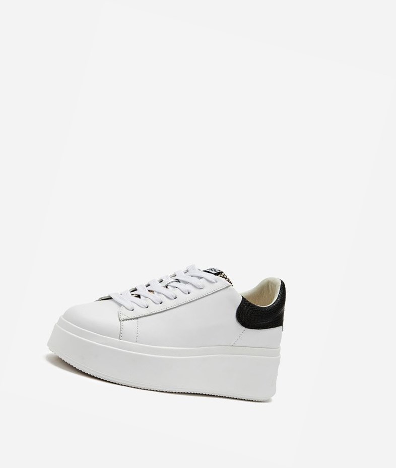 Low-Top Sneakers ASH Moby Blanche Noir Femme | EIY-1776299