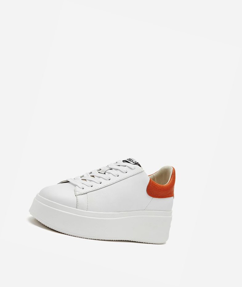 Low-Top Sneakers ASH Moby Blanche Femme | JTM-1479794