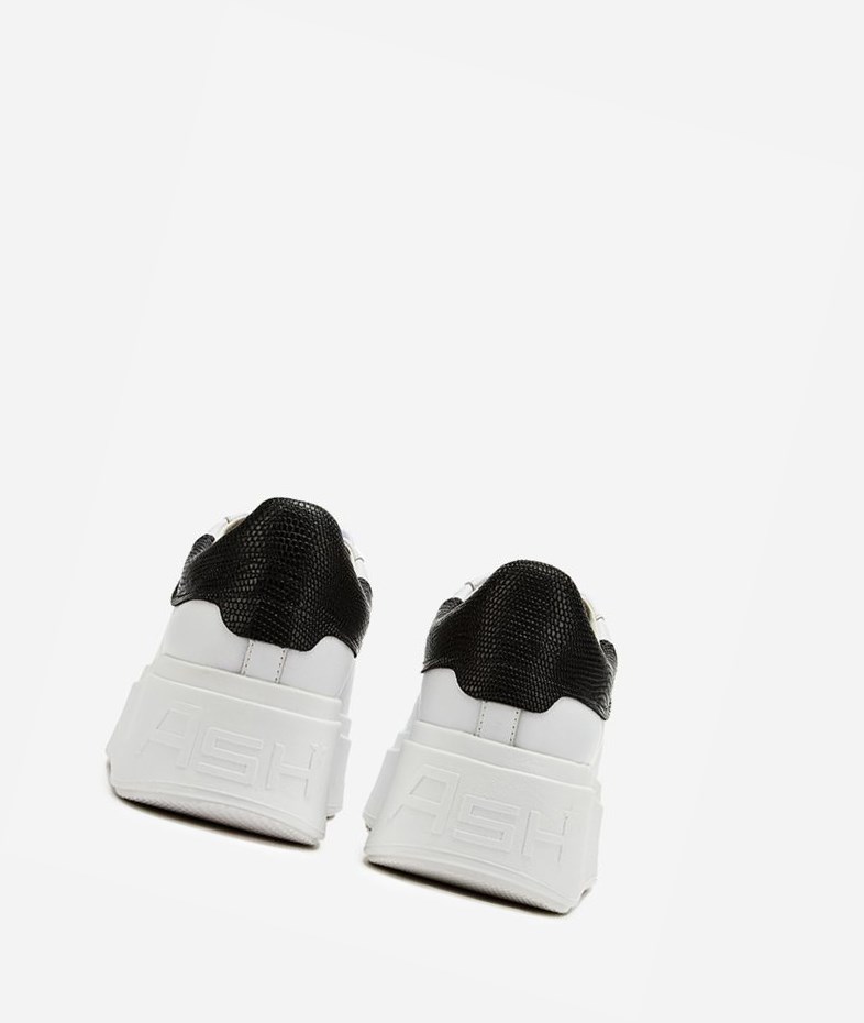 Low-Top Sneakers ASH Moby Blanche Noir Femme | EIY-1776299