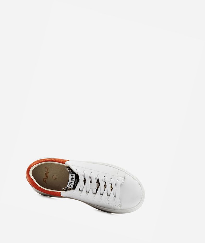 Low-Top Sneakers ASH Moby Blanche Femme | JTM-1479794