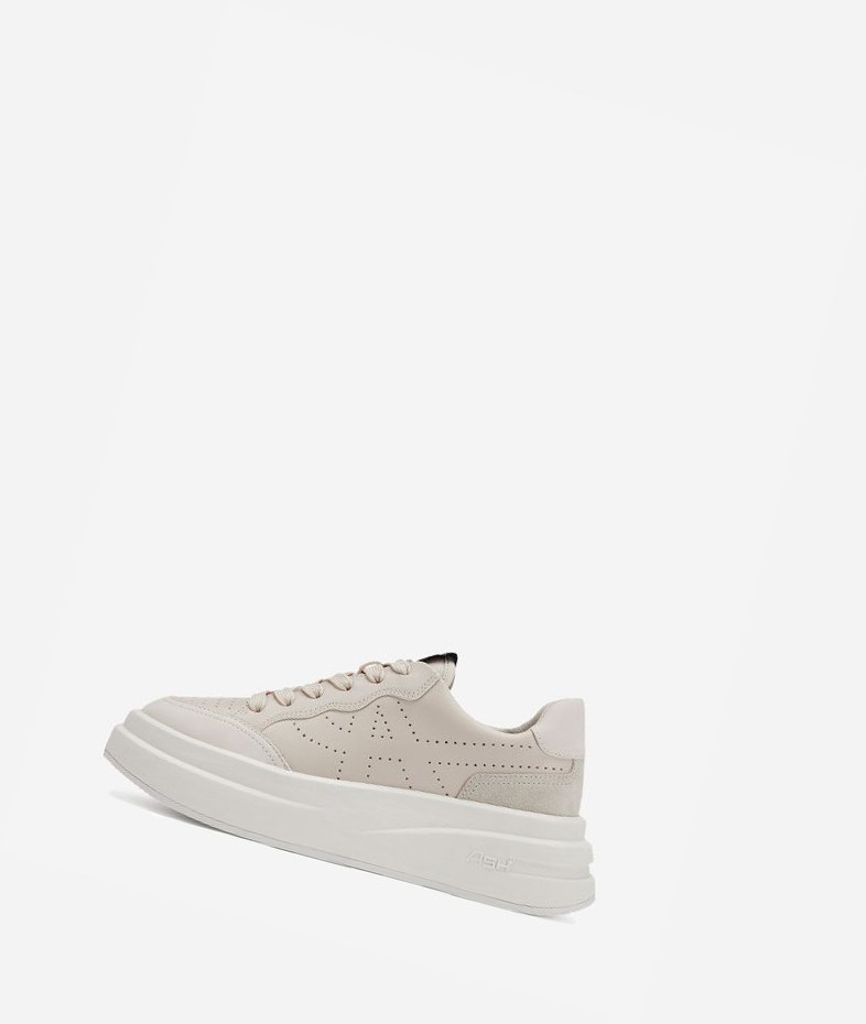 Low-Top Sneakers ASH Impuls Shell Femme | TQQ-6679698