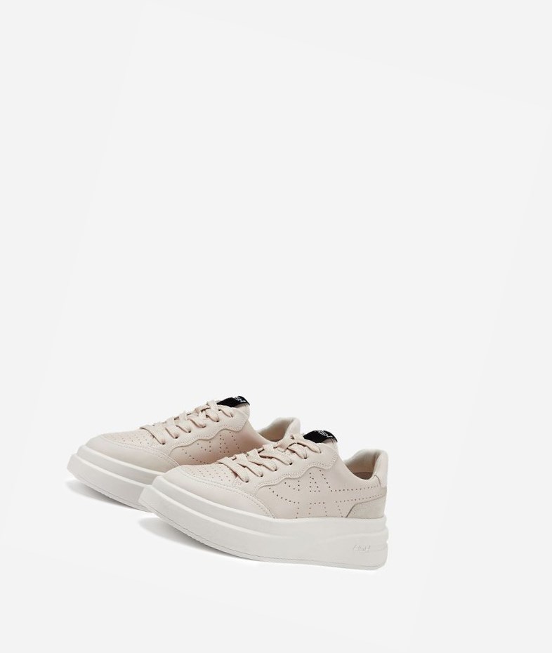 Low-Top Sneakers ASH Impuls Shell Femme | TQQ-6679698