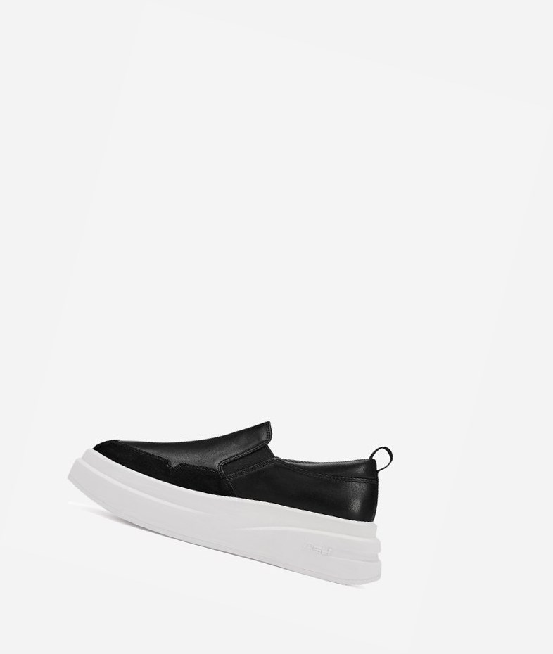 Low-Top Sneakers ASH Intox Noir Femme | TWG-2245192