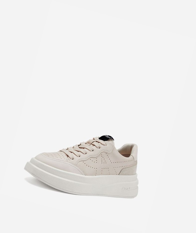 Low-Top Sneakers ASH Impuls Shell Femme | TQQ-6679698