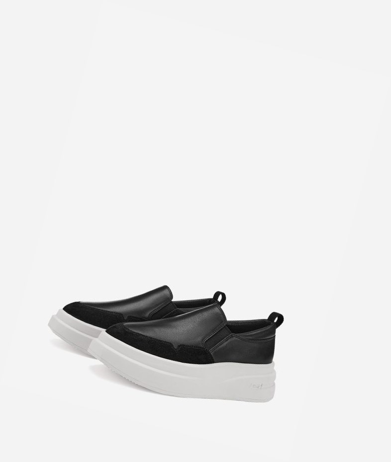 Low-Top Sneakers ASH Intox Noir Femme | TWG-2245192