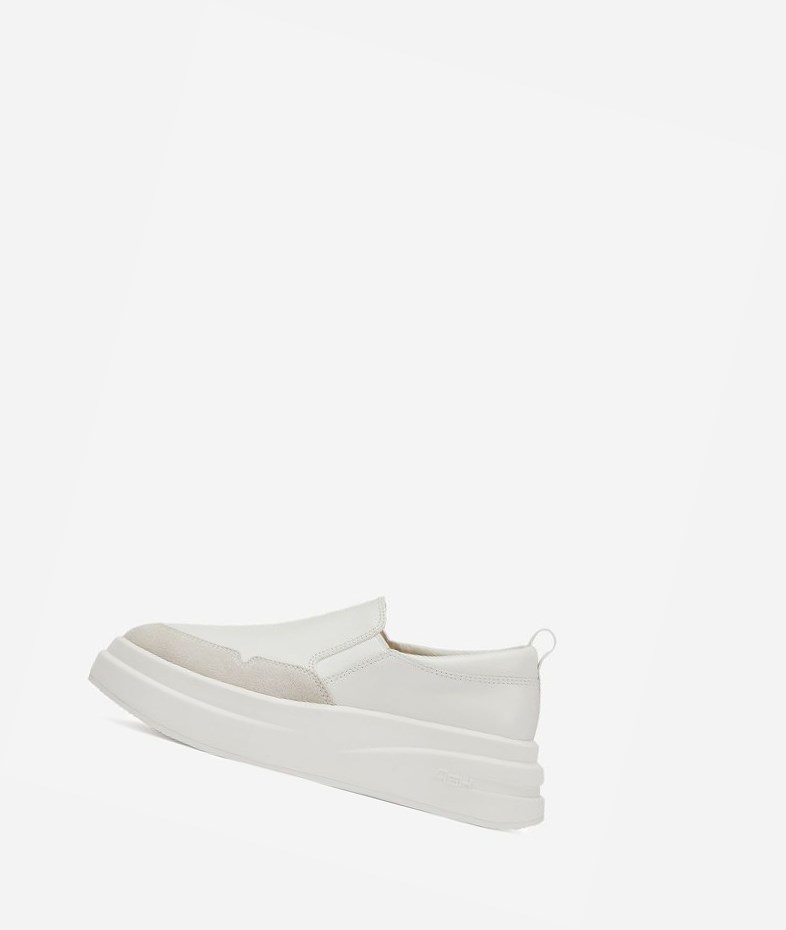 Low-Top Sneakers ASH Intox Blanche Blanche Femme | DSG-7394396