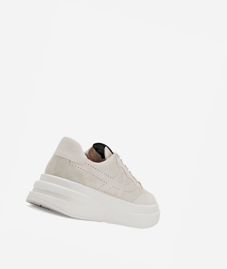 Low-Top Sneakers ASH Impuls Shell Femme | TQQ-6679698