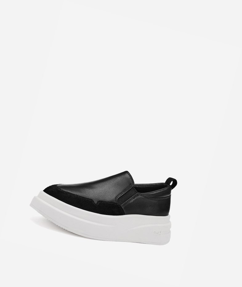 Low-Top Sneakers ASH Intox Noir Femme | TWG-2245192