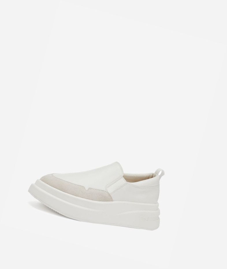 Low-Top Sneakers ASH Intox Blanche Blanche Femme | DSG-7394396