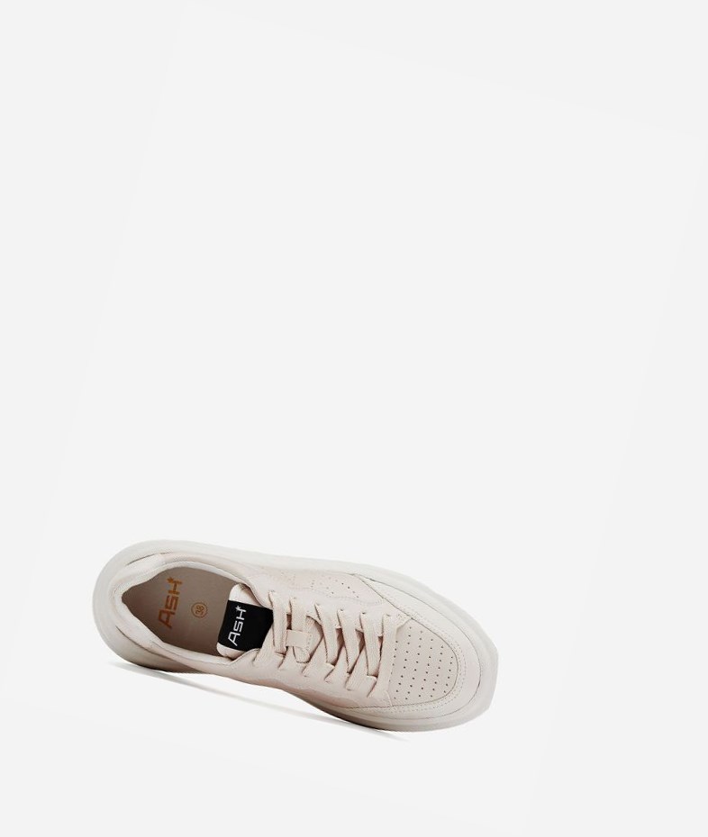 Low-Top Sneakers ASH Impuls Shell Femme | TQQ-6679698