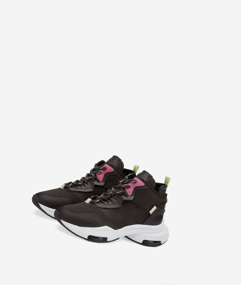 Low-Top Sneakers ASH Oddisey Ganache / Ebano / Pale Lime / Azalea Femme | SVP-3533909