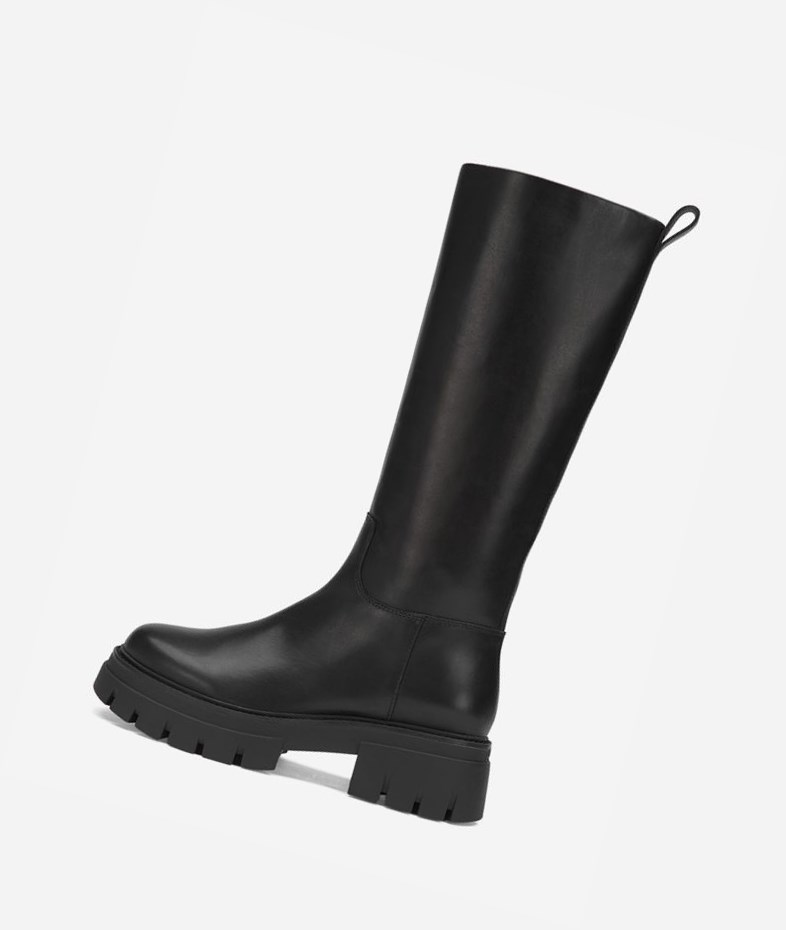 Long Boots ASH Lucky Noir Femme | WGC-3851486