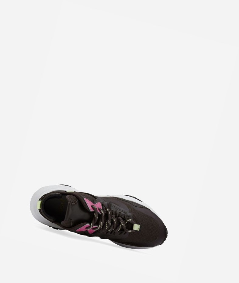 Low-Top Sneakers ASH Oddisey Ganache / Ebano / Pale Lime / Azalea Femme | SVP-3533909