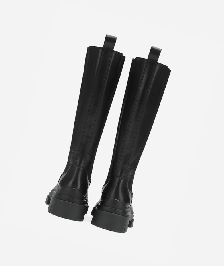 Bottes Moto ASH Stone Noir Femme | IEN-3182842