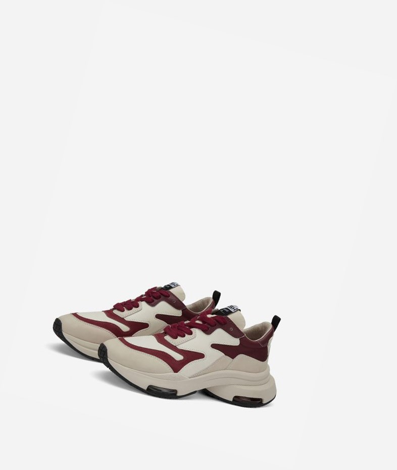 Low-Top Sneakers ASH Octopus Rouge Femme | UDW-0585238