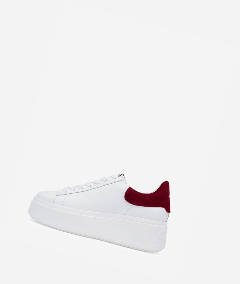 Low-Top Sneakers ASH Moby Blanche Rouge Femme | ZQV-9535821