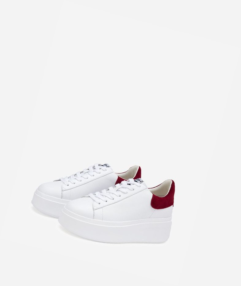 Low-Top Sneakers ASH Moby Blanche Rouge Femme | ZQV-9535821