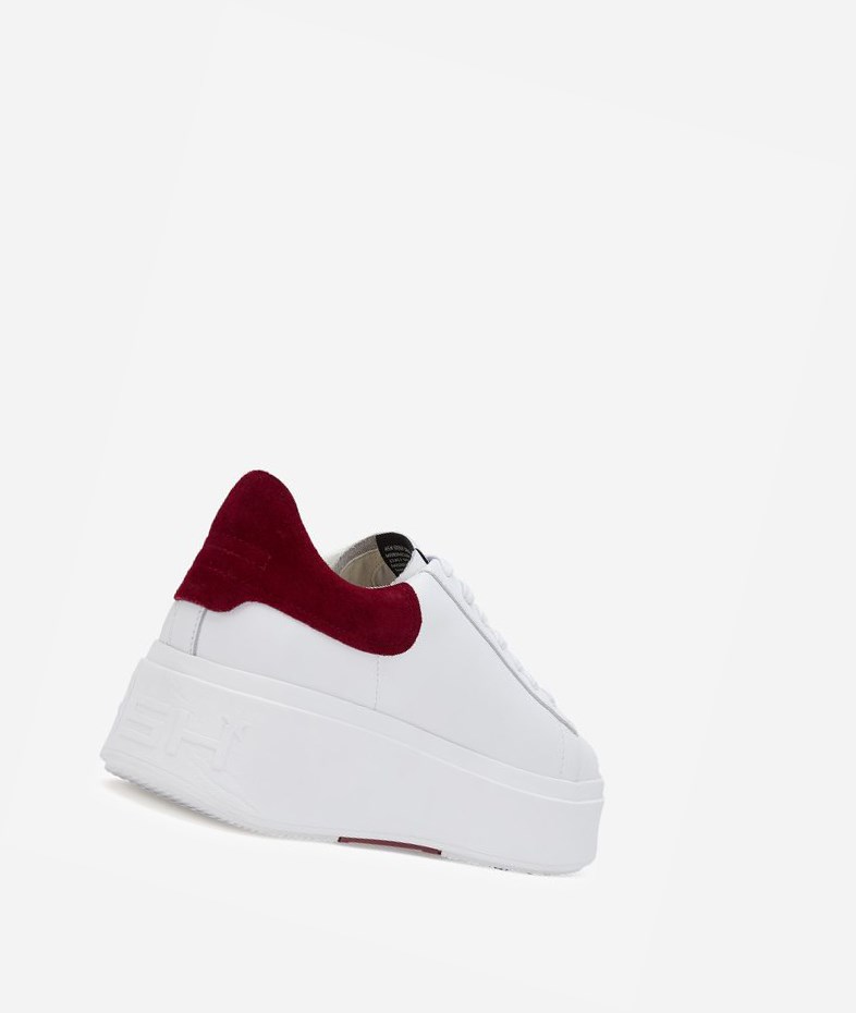 Low-Top Sneakers ASH Moby Blanche Rouge Femme | ZQV-9535821