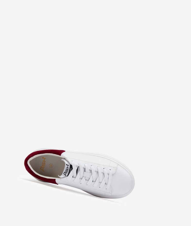 Low-Top Sneakers ASH Moby Blanche Rouge Femme | ZQV-9535821