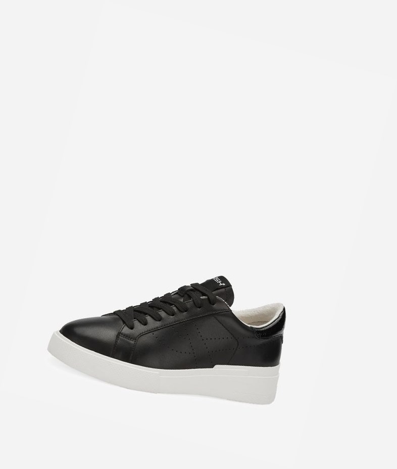 Low-Top Sneakers ASH Fury Bis Noir Femme | ZXO-2711408