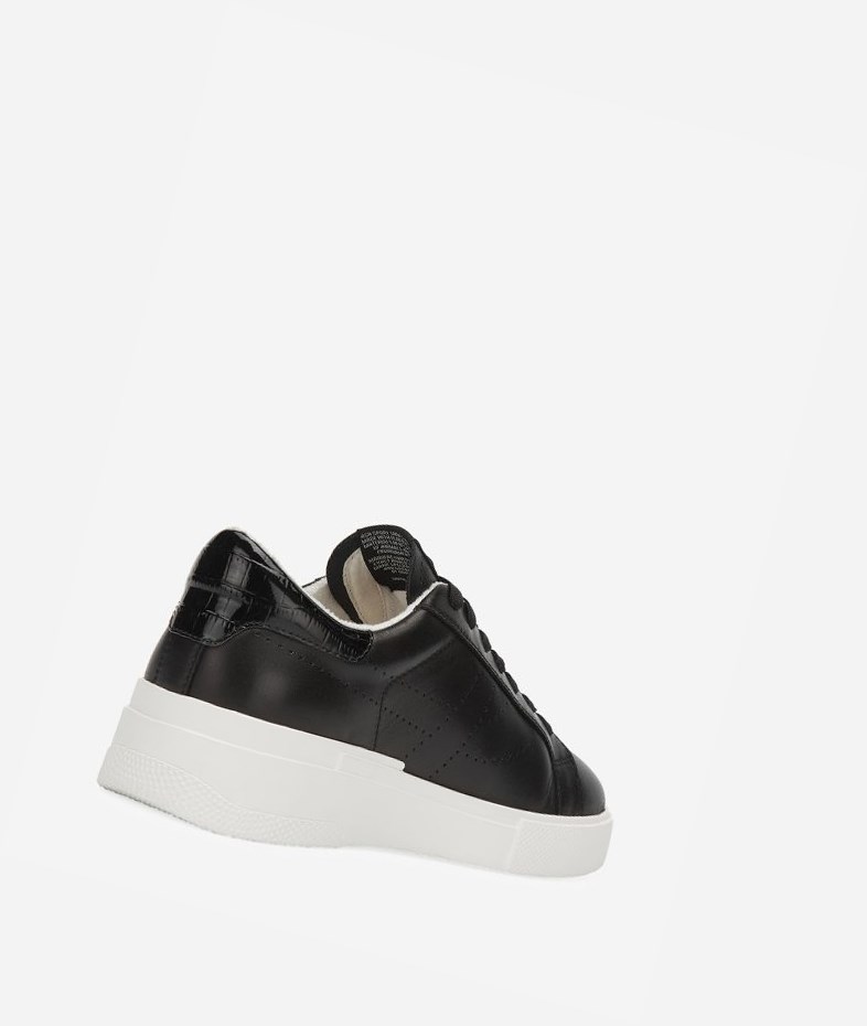 Low-Top Sneakers ASH Fury Bis Noir Femme | ZXO-2711408