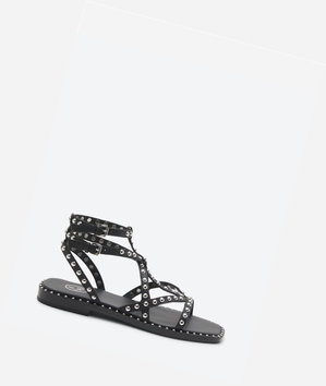 Sandales Plates ASH Mamba Noir Femme | EPP-9439426