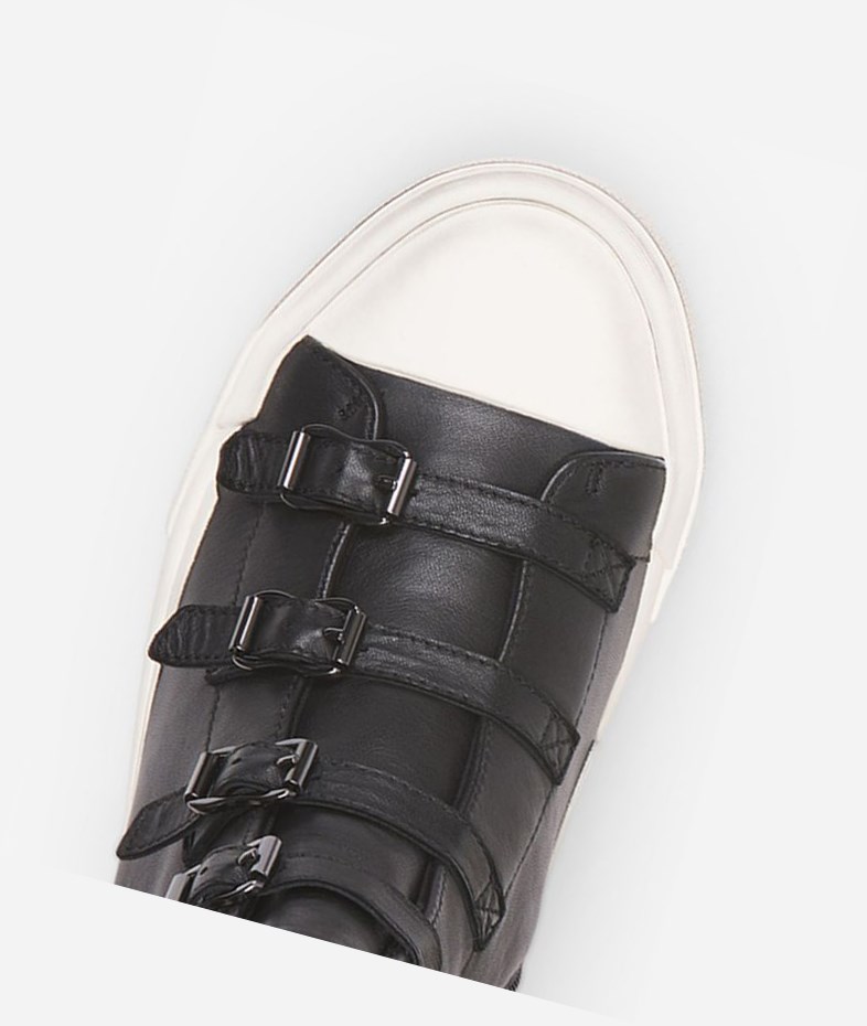 High-Top Sneakers ASH Gang Noir Femme | GLY-9765548