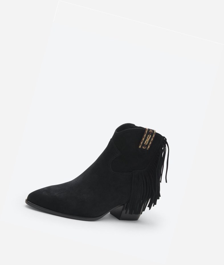 Bottines ASH Hysteria Noir Femme | AKR-2259222