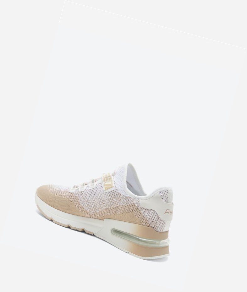 Air Cushion Sneakers ASH Krush Degrade Blanche Femme | AVL-2139323