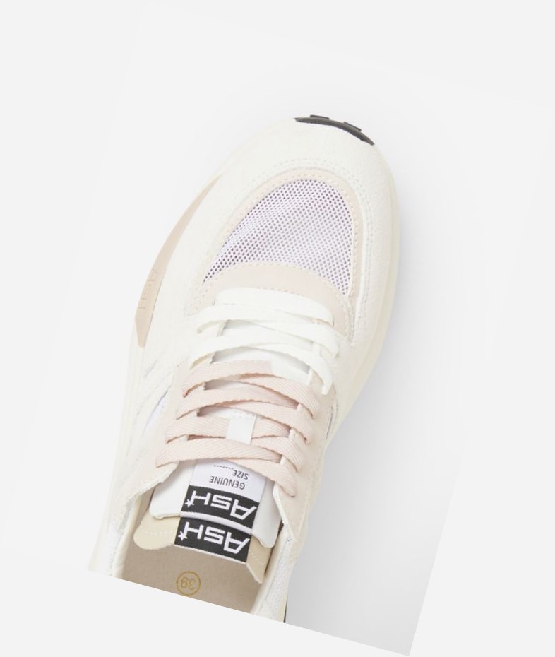 Low-Top Sneakers ASH Spider 620-02 Blanche Blanche Femme | EZE-6303724