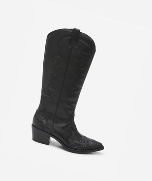 Long Boots ASH Dream Noir Femme | BQC-1029067