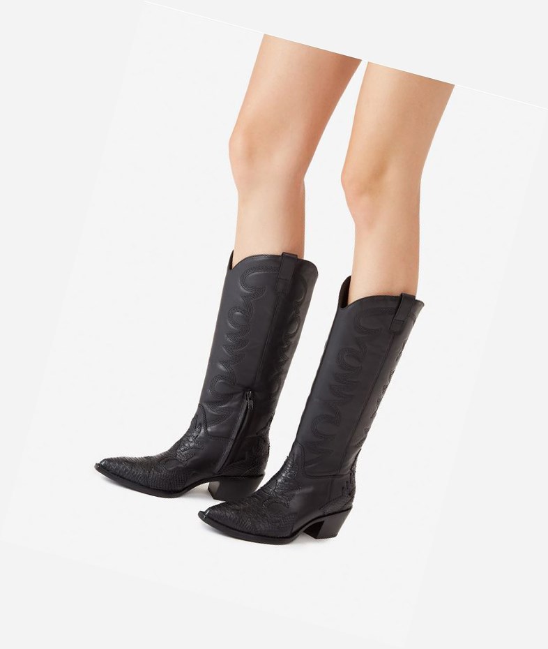 Long Boots ASH Dream Noir Femme | BQC-1029067