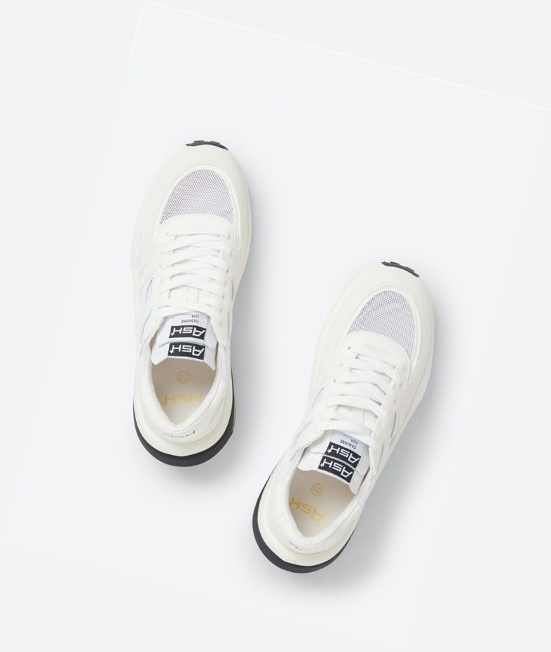 Low-Top Sneakers ASH Spider 620-02 Blanche Femme | OGZ-2194541